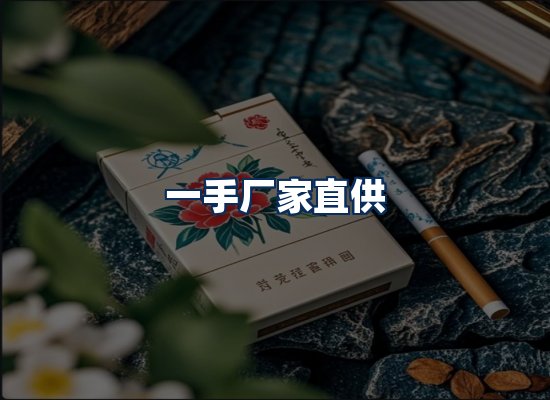 专业团队办公环境